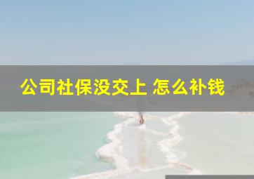 公司社保没交上 怎么补钱